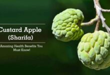 Healthy Benefits of Custard Apple