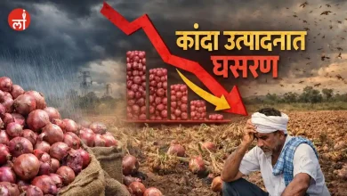 Onion Production Drop